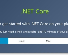 .NET Core 2.0.png