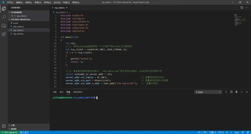 远程登录linuxssh,远程登录linux最常用的协议